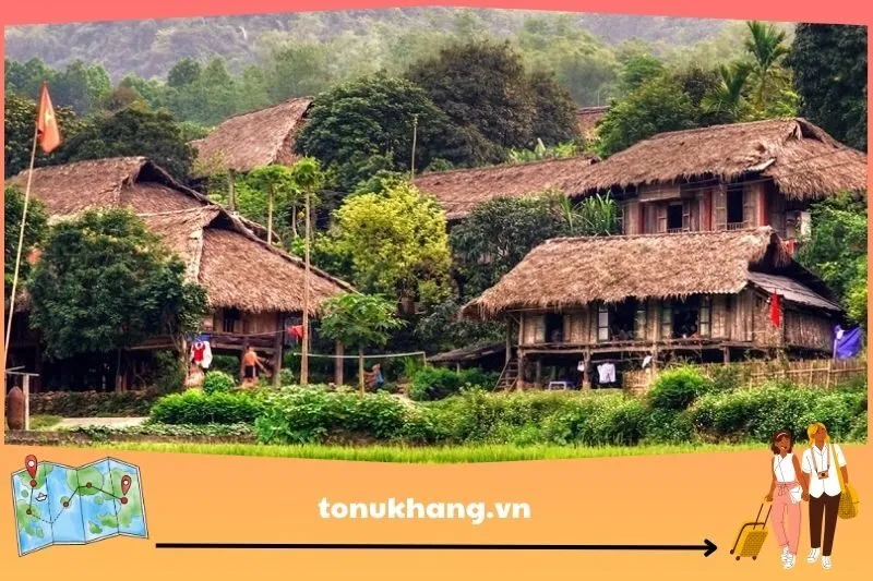 Hướng dẫn di chuyển