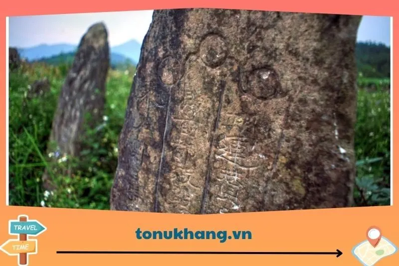 Các hoạt động du lịch tại khu vực