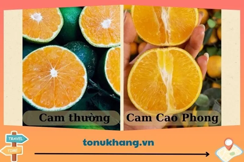 Cách chọn mua cam ngon