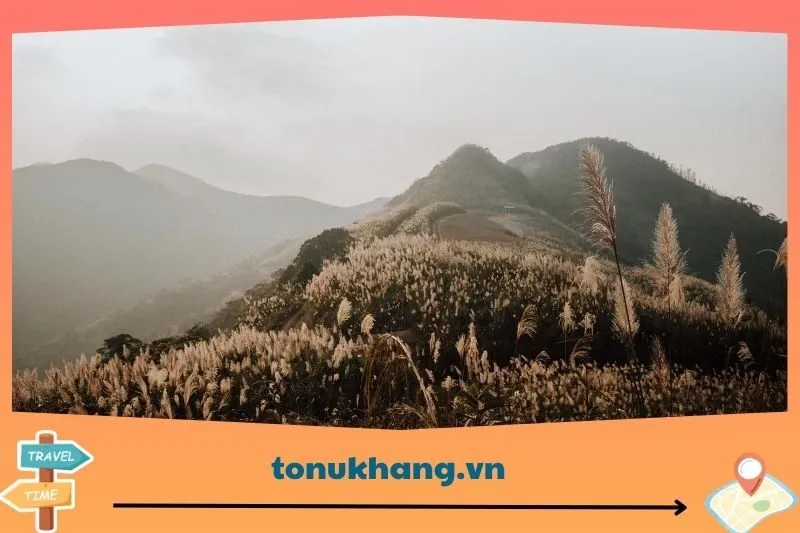 Giới thiệu về Đồi Bù Hòa Bình