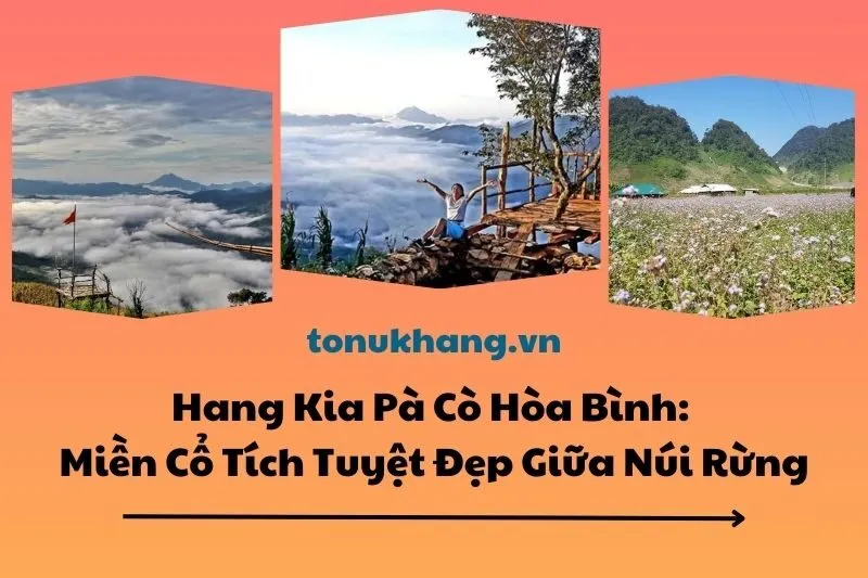 Hang Kia Pà Cò Hòa Bình 2025: Miền Cổ Tích Tuyệt Đẹp Giữa Núi Rừng