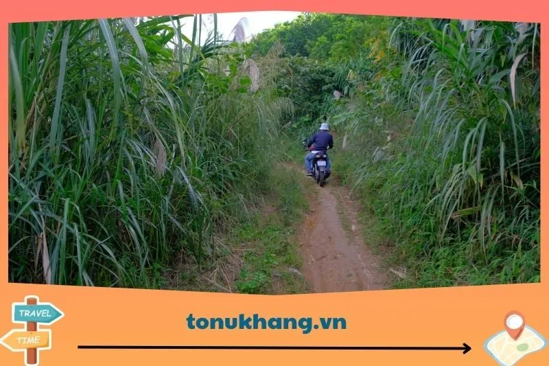 Hướng dẫn di chuyển đến Đồi Bù