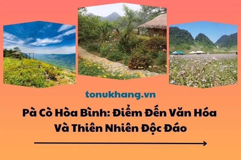 Pà Cò Hòa Bình 2025: Điểm Đến Văn Hóa Và Thiên Nhiên Độc Đáo