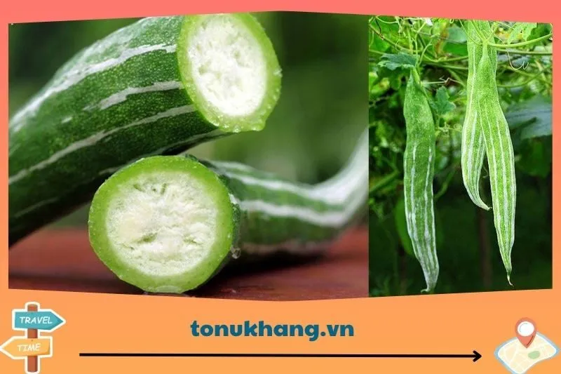 Quả lặc lày Hòa Bình là quả gì?