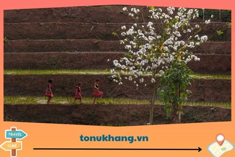 Thời điểm lý tưởng để du lịch Mai Châu Hoà Bình