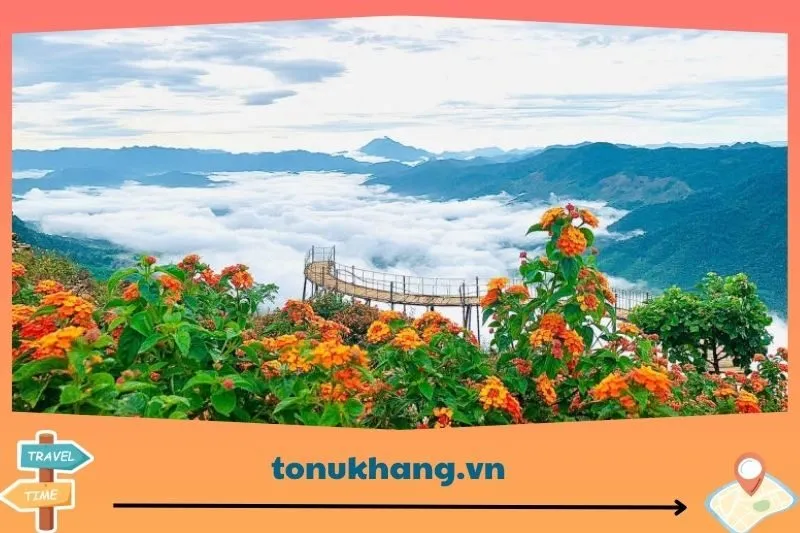 Thời Điểm Lý Tưởng Để Tham Quan